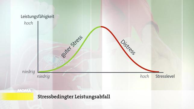 Sportschlau, stressbedingter Leistungsabfall