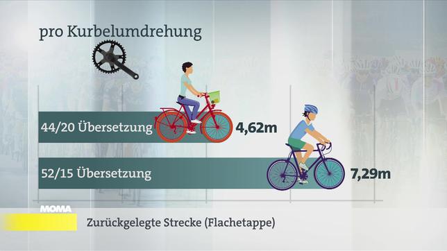 Sportschlau: Tour des France Femmes