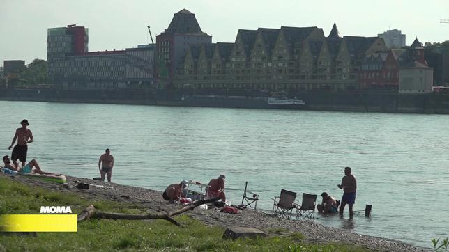 Sommer am Rheinstrand in Köln