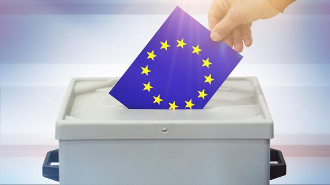 Bild: WDR Hand steckt eine Europaflagge in eine Wahlurne