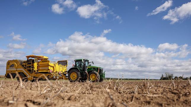 Landwirtschaft