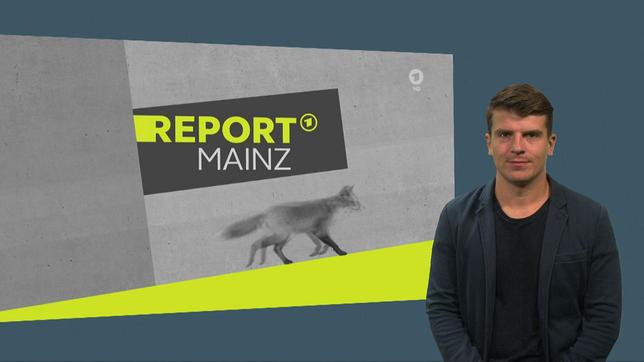 DGS-Version von REPORT MAINZ