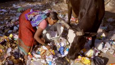 Frau sammelt Müll