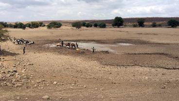 Dürre in Äthopien