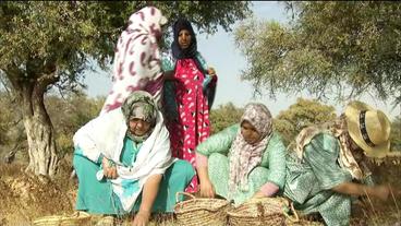 Berberfrauen unter einem Baum