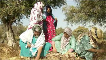 Bild: NDR Berberfrauen unter einem Baum