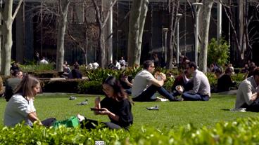 Menschen sitzen in Gruppen in einem Park.