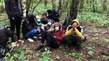 Gruppe von Menschen auf einem Waldboden