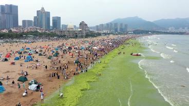 Bild: NDR Strand von Qingdao aus der Vogelperspektive.