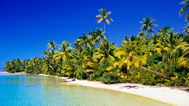 Strand mit weißem Sand und Palmen auf den Cook-Inseln.