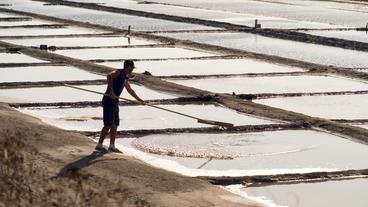 Ein Mann arbeitet in einem Salzgarten.