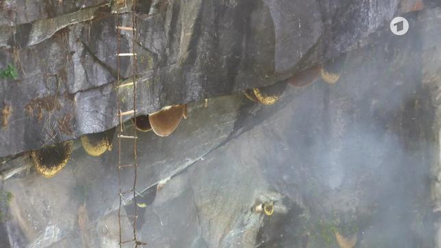 Nepal: Honigjäger in der Steilwand