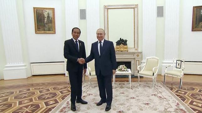 Indonesiens Präsident Joko Widodo schüttelt Putin die Hand.