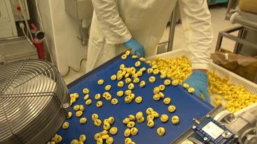 Bild: BR Herstellung von Tortellini