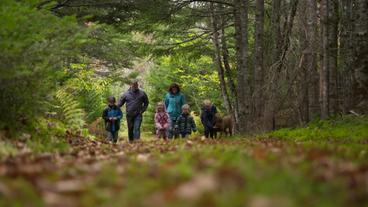 Familie mit vier Kinder und Hund im Wald