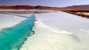 Grünliche Wasserfläche mit weißen Ablagerungen an der Wasseroberfläche.