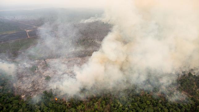Brennender Regenwald in Brasilien