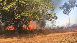 Brandstellen gelegt von einer Umweltmafia im Amazonaswald