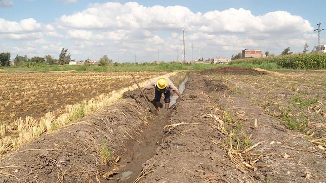 Landwirtschaft wäre in Ägypten ohne den Nil nicht denkbar.