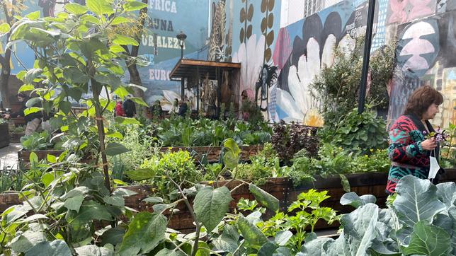 Argentinien: Ein Gemüsebeet für Bedürftige