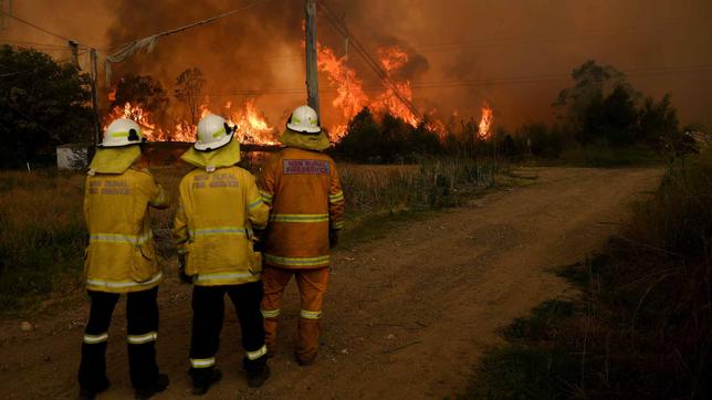 Feuerwehrleute vor brennendem Wald