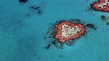 Australien: Great Barrier Reef – weltbekanntes Korallen-Riff vor dem Kollaps?