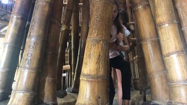 Bali: Vorreiter für die Zukunft – die grüne Schule auf Bali