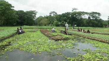 Bauern bei Arbeit in den schwimmenden Gärten 