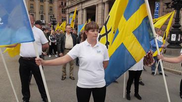 Aufmarsch der Schwedenpartei