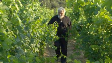 Bild: BR Andro Tomić im Weinberg
