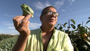 Bild: BR José Carlos Martínez