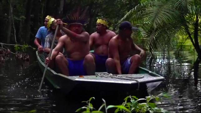 Brasilien: Der Dschungel sei ihre Apotheke, sagen die Indigenen am Amazonas