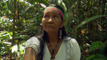 Brasilien: Dona Teka ist eine der wenigen weiblichen Schamaninnen im Amazonas