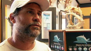 Brasilien: Leonardo Veras betreibt auch ein Hai-Museum