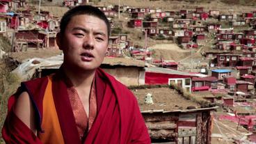 Dorjee