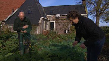 Niederlande: Familie Dekker muss ihren Traum im Grünen begraben – ihr Hof versinkt