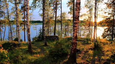 Finnland: Finnland und Russland haben eine 1300 Kilometer lange gemeinsame Grenze