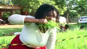 Eine Frau isst Gras