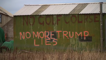 Aufschrift "No more Trump lies" auf Schuppen