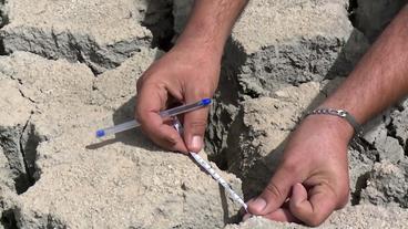 Bild: SWR Vertrockneter Boden mit starken Rissen wird vermessen