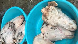 Wichtigste Zutat einer iranischen Spezialität: Schafskopfsuppe – gefunden auf dem Bazar von Gilan.