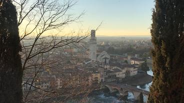 Italien: Heftige Abtreibungsdebatte in Verona und im ganzen Land