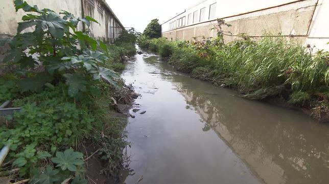 Italien: Der italienische Fluss Sarno ist der schmutzigste Fluss in Europa
