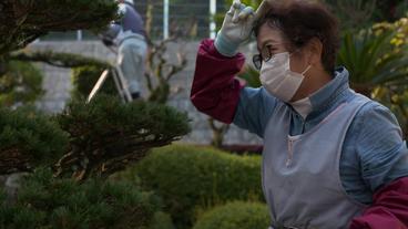 Bild: WDR Japan: Arbeiten im Rentenalter macht Spaß und man verdient sich etwas dazu