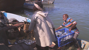 Fischer tragen Korb mit gefangenen Fischen