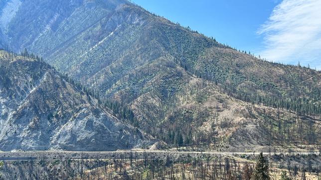 Kanada: Waldbrände in Kanada – ein Dorf will sich dagegen schützen und neu erfinden.