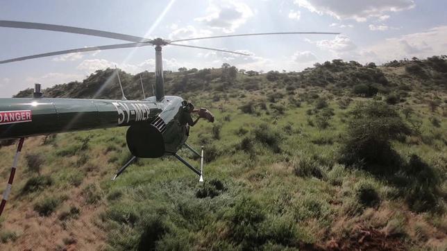 Samenbomben werden aus Hubschrauber abgeworfen