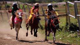 Die Jockeys verdienen gut: um die 700 Euro in der Woche. Viel Geld in Indonesien, wo viele nicht mehr als zwei Euro am Tag verdienen.  