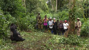 Frauen bei Tour zu den Affen im Nationalpark 
