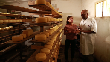 Bild: SWR Gouda-Käse im Regal